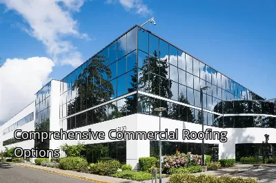 Comprehensive Commercial Roofing Options
