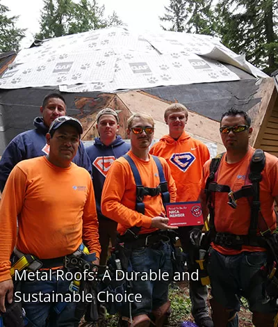 Metal Roofs: A Durable and Sustainable Choice