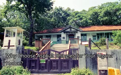 Why Choose Asphalt Shingles for Your Algona Home?