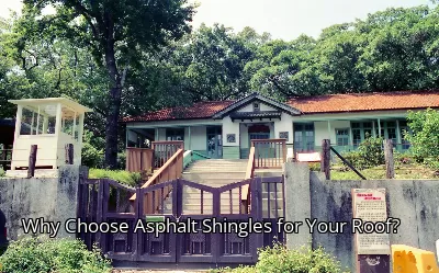Why Choose Asphalt Shingles for Your Roof?
