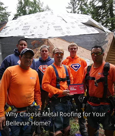 Why Choose Metal Roofing for Your Bellevue Home?