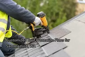 Customized Roof Protection Plans for Sammamish, WA