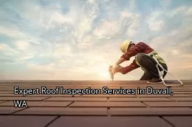 Expert Roof Inspection Services in Duvall, WA