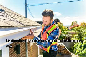Professional Roof Inspections in Steilacoom, WA