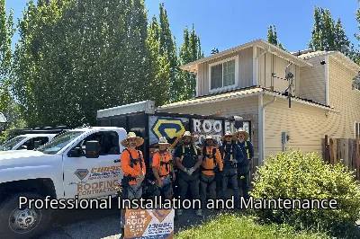 Professional Installation and Maintenance