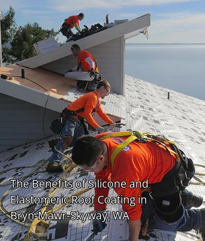 The Benefits of Silicone and Elastomeric Roof Coating in Bryn-Mawr-Skyway, WA