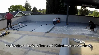 Professional Installation and Maintenance Services